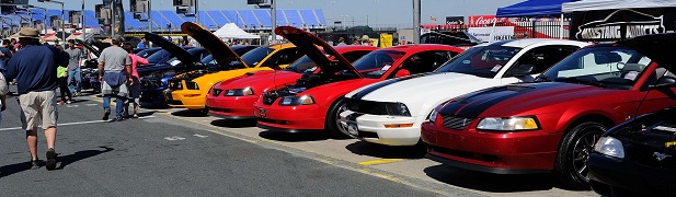 Wild Horses: Tons of Pics From AutoFair’s Mustang Tribute