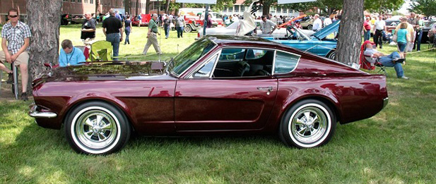 Shorty-Mustang-side-profile-slider