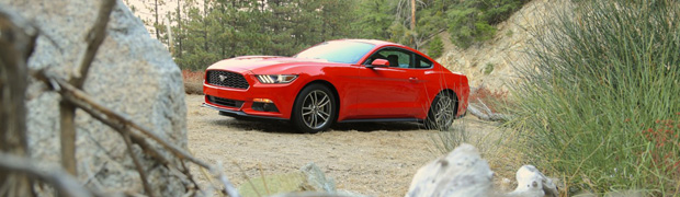 Ford Racing EcoBoost Mustang Gets All The Torque