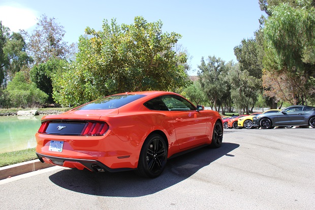 Mustang color rear