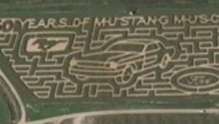 Mustang Maze is a Pretty Wild Pony Car Tribute