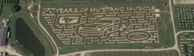 Mustang Maze is a Pretty Wild Pony Car Tribute