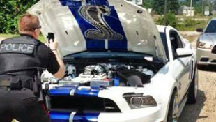 Cop Pulls Over Shelby GT500, Takes Selfie