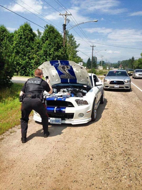 ford-mustang-shelby-gt-500-pulled-over-police-officer-photographs-engine-bay-90077_1