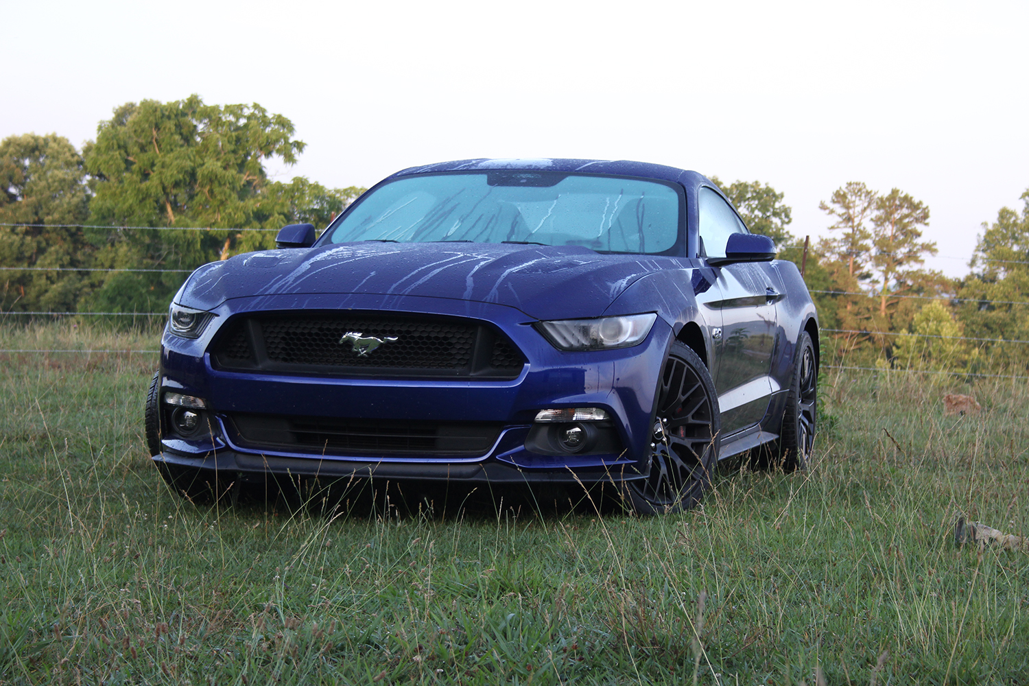 2015 Ford Mustang GT (3)