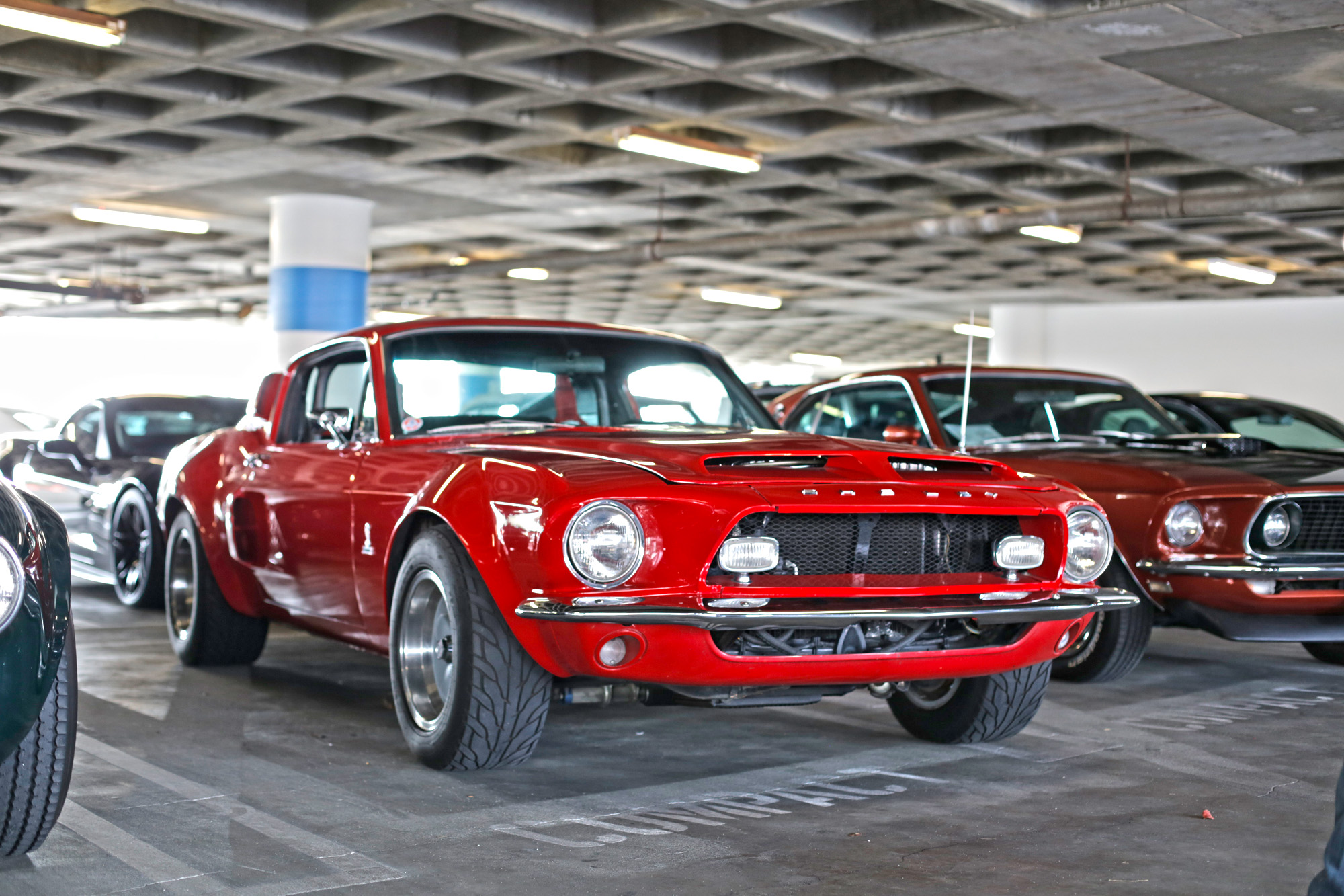 Shelby-Mustang-Petersen-Museum-Cruise-In-Home