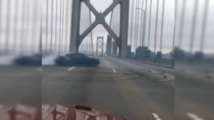 Mustang Driver Does Donuts on San Francisco Bay Bridge