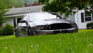 Mr. Regular Calls Shelby GT500 an “Ode to Mythic American Muscle”