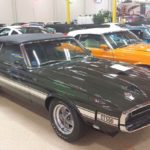 Segerstrom Collection of Mustangs Started With Lima Beans