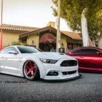 You Don't Have to Turn a Single Wrench to Get This Mustang Show Car