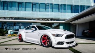 You Don’t Have to Turn a Single Wrench to Get This Mustang Show Car