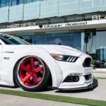 You Don't Have to Turn a Single Wrench to Get This Mustang Show Car