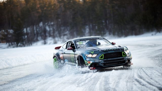 10 Mustangs Playing in the Snow