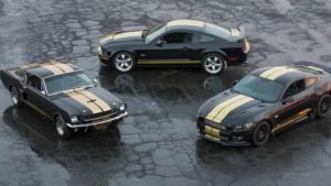 Top 6 Dual Color Stripes on the Mustang