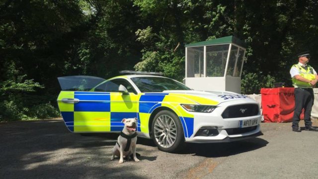 Mustang GT Called on to Help Patrol Deadly Isle of Man TT