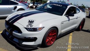 Mustang Shelby GT350 Battles Lamborghini in Exhaust Note Duel
