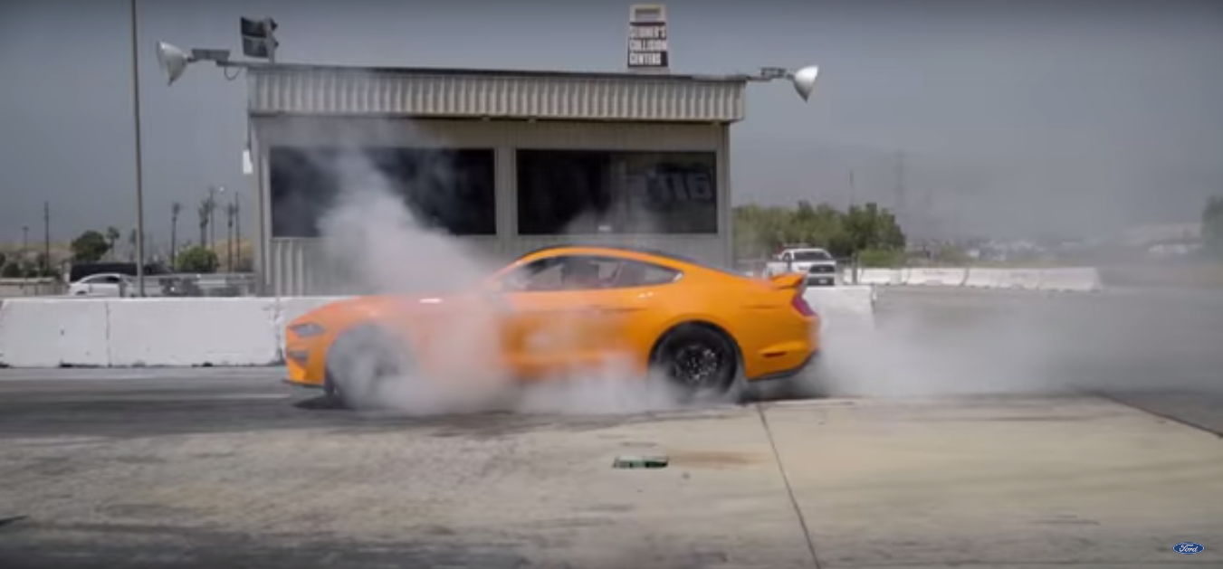 Mustang Burnout