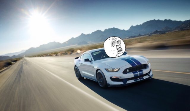 Mustang Rage Face