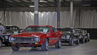 Shelby Mustang Collection