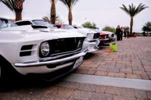 Row of Mustangs - Mustang Mania