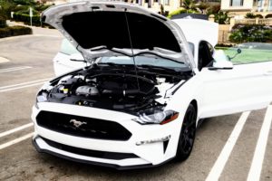 Mustang EcoBoost