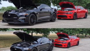 Hellcat vs Mustang GT