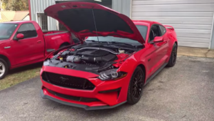 "Project Carnage" 2019 Ford Mustang GT.