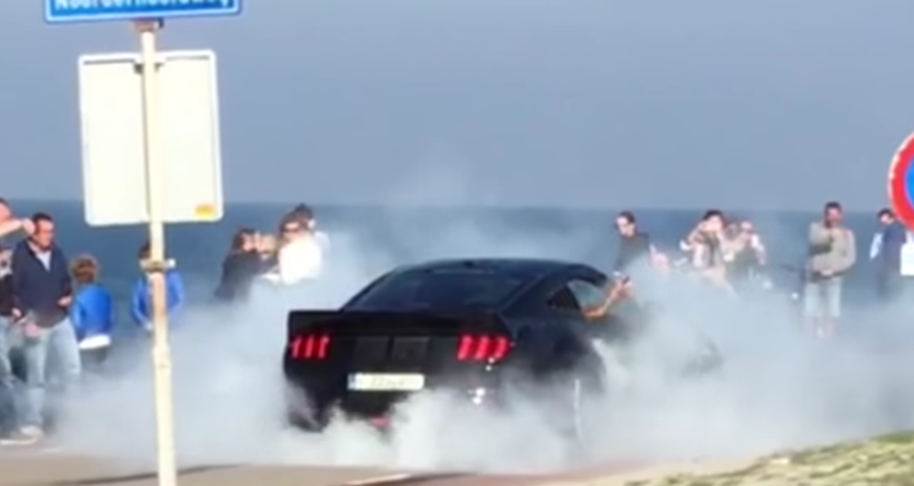 Runball Rally Alphamale Widebody Mustang