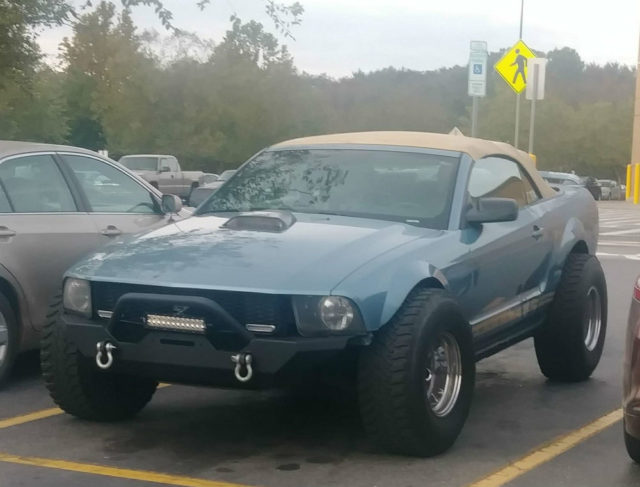 Off-Road Mustang