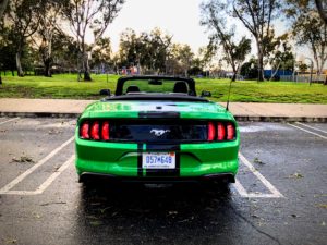 Need for Green 2019 Mustang EcoBoost: Is it Worth Your 'Green?'