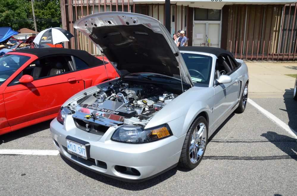 Mustang Alley