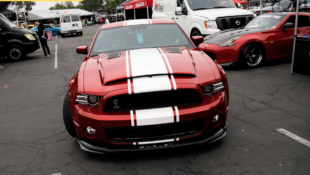 Auto Enthusiast Day Mustangs