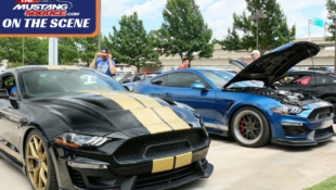 themustangsource.com Ford Mustang Shelby GT H and Super Snake Drive