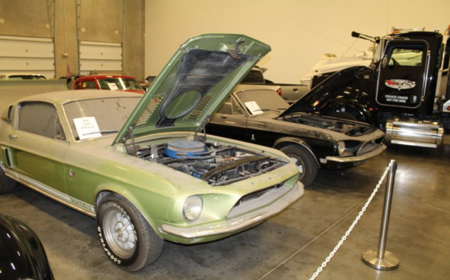 Shelby Mustang Barn Finds