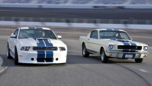 The Magnificent Eight: Shelby’s Top Vehicles