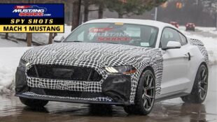 Mustang Mule Could Be a New Performance Model