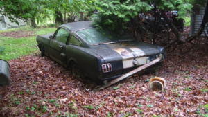 Shelby GT350H Is a Rare, Rusty Gem Waiting for Restoration