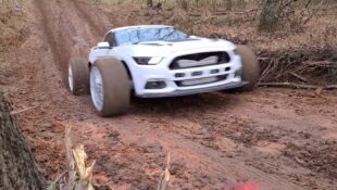 Muddy Mustang