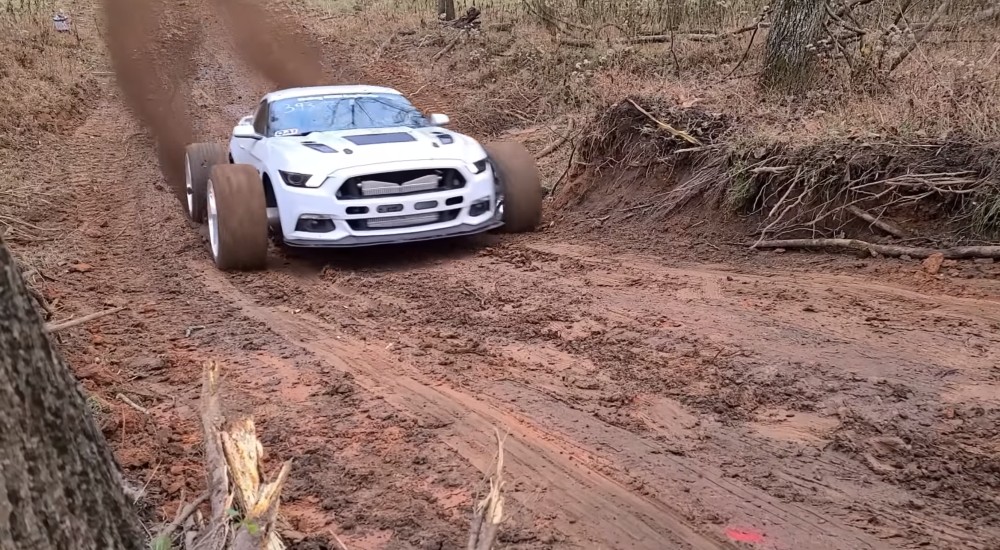 Muddy Mustang