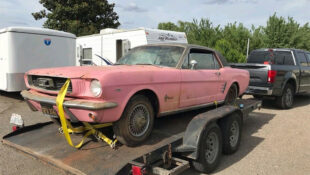 Playmate of the year pink 1966 Mustang