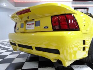 Custom New Edge Mustang