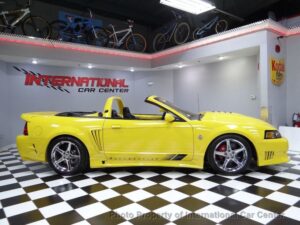 Custom New Edge Mustang