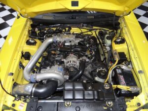 Custom New Edge Mustang