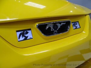 Custom New Edge Mustang