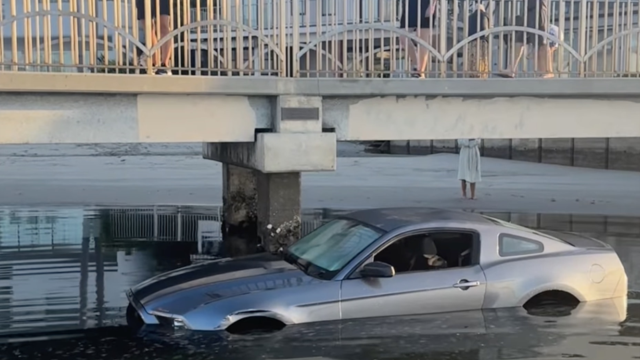 Mustang Goes Swimming In San Diego Bay, Owners Claim It Wasn’t Them!