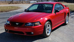 Are New Edge Cobra Models An Underrated Bargain?