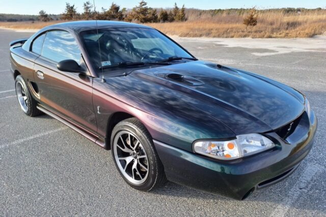 1996 Mystic Ford Mustang SVT Cobra